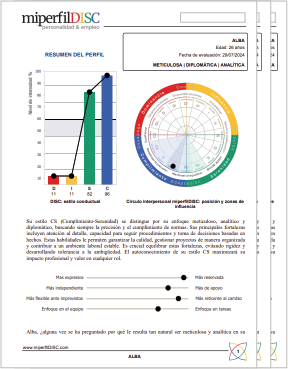 Informe DISC Resumen