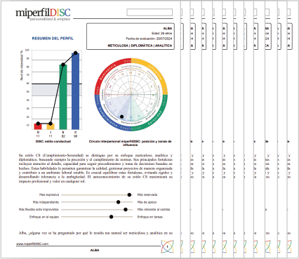 Informe DISC Resumen